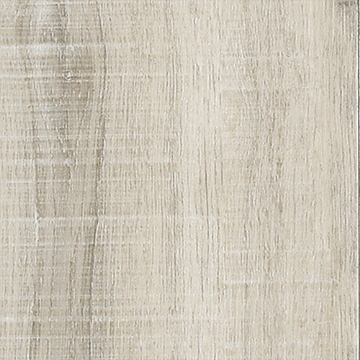 Picture of Aladdin Commercial - To Tich Street Lambs Ear