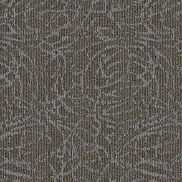 Picture of Aladdin Commercial - Meandering Trail Birch