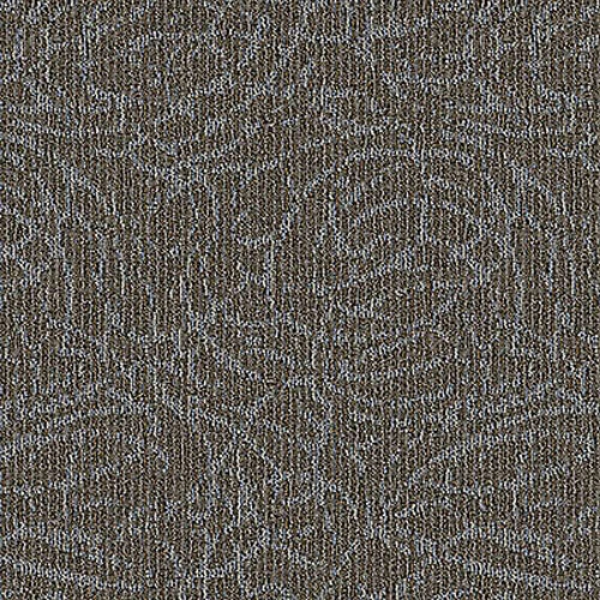 Picture of Aladdin Commercial - Meandering Trail Birch