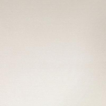 Picture of Daltile - PZazz 12 x 24 White Ritz