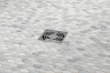 Picture of Emser Tile - Marble Oval Mosaic Winter Frost