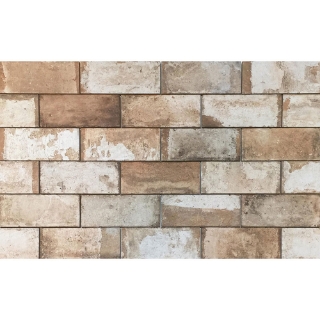 Picture of Tesoro - Havana 8 x 16 Cohiba