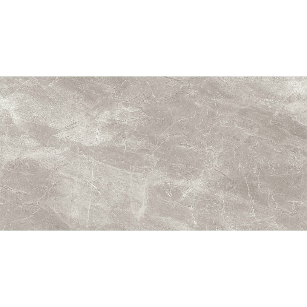 Picture of Tesoro - Nuance 12 x 24 Grey
