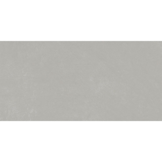 Picture of Emser Tile - Citizen 24 x 48 Matte Public