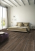 Picture of Daltile - Articulo 18 x 36 Story Brown