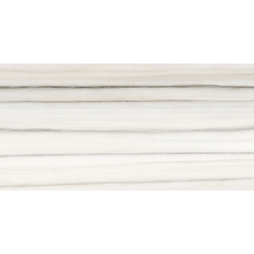 Picture of Tesoro - Mayfair 12 x 24 Polished Zebrino Grigio