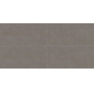 Picture of Daltile - Astronomy 12 x 24 Solstice