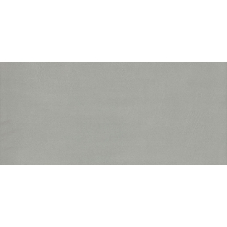 Picture of Emser Tile - Council 12 x 24 Gray