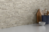 Picture of Emser Tile - Feature Silver Natural