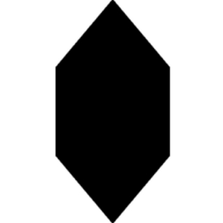 Picture of Tesoro - Kayak Picket Black