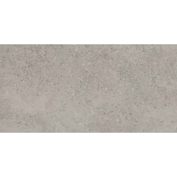 Picture of Tesoro - Shellstone 12 x 24 Outdoor Grey