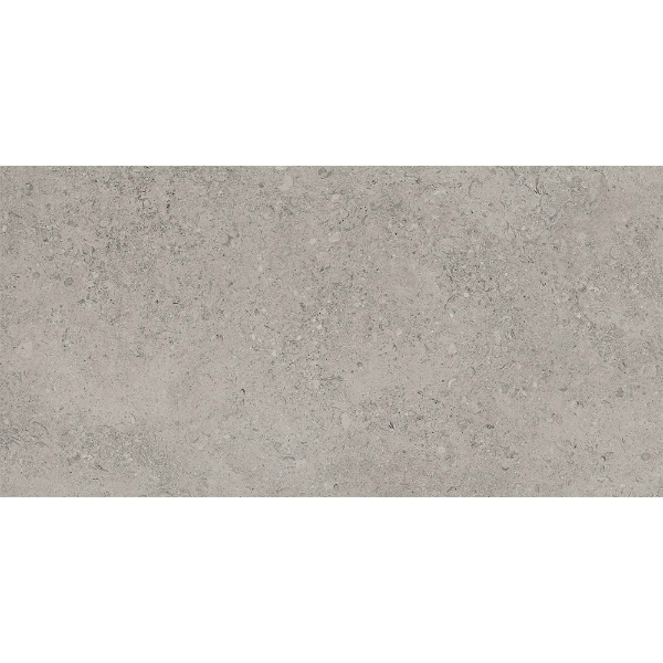 Picture of Tesoro - Shellstone 12 x 24 Outdoor Grey