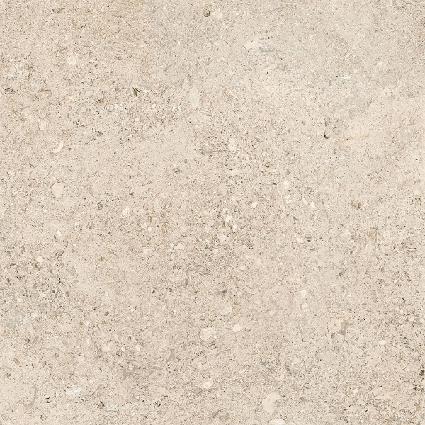 Picture of Tesoro - Shellstone 24 x 24 Amber