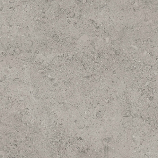 Picture of Tesoro - Shellstone 24 x 24 Grey