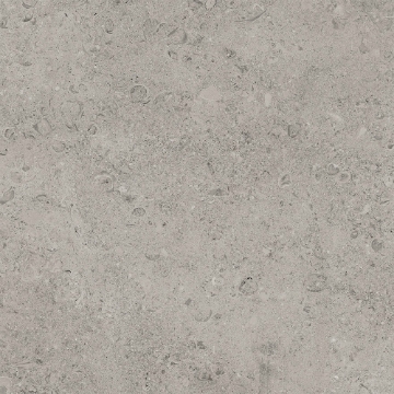 Picture of Tesoro - Shellstone 24 x 24 Grey
