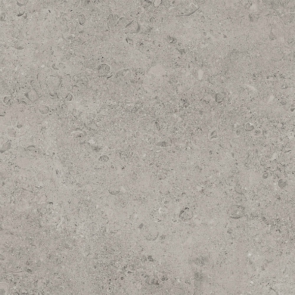 Picture of Tesoro - Shellstone 24 x 24 Grey