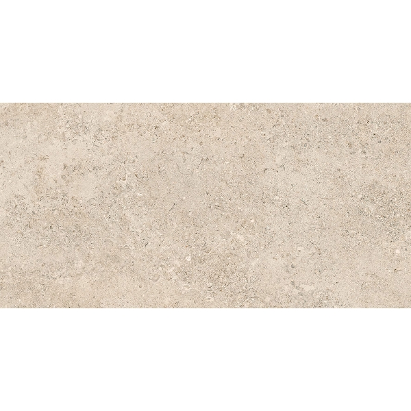 Picture of Tesoro - Shellstone 24 x 48 Amber