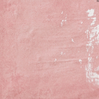 Picture of Emser Tile - Passion 9 x 9 Gloss Rosa