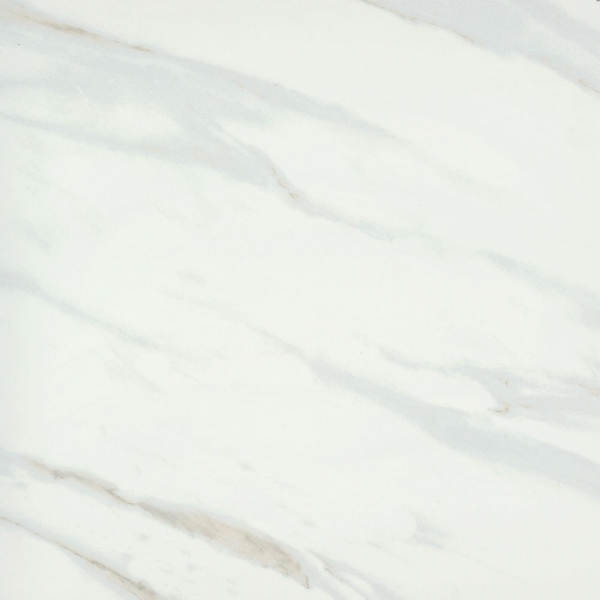 Picture of Emser Tile - Vara 24 x 24 Matte Ribia