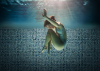 Picture of Emser Tile - Waterlace Ono