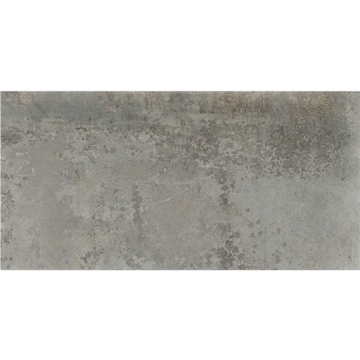 Picture of Daltile - Emergent 12 x 24 Aluminum