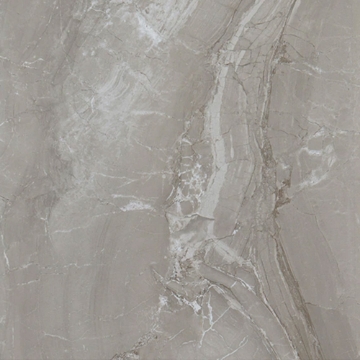 Picture of Daltile - Famed 24 x 24 Polished Fortune