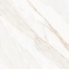 Picture of Tesoro - Icaro 28 x 28 Calacatta Oro Matte