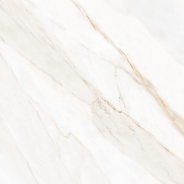 Picture of Tesoro - Icaro 28 x 28 Calacatta Oro Matte