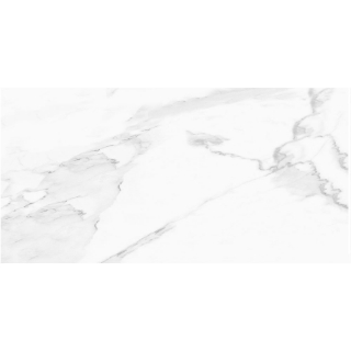 Picture of Tesoro - Vintage 24 x 48 Calacata