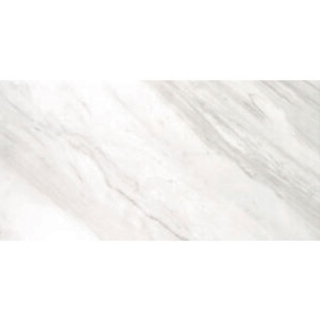 Picture of Tesoro - Delray II 12 x 24 Moon Polished