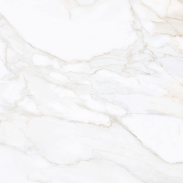 Picture of Tesoro - Paonazzo 24 x 24 Calcatta Gold Polished