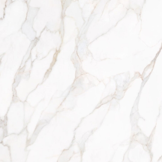 Picture of Tesoro - Paonazzo 24 x 24 Calacatta Gold Matte