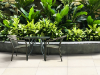 Picture of Emser Tile - Extero Presidio Limestone
