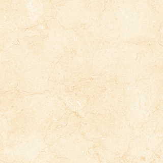 Picture of Tesoro - Bejha 24 x 24 Fiorito Matte