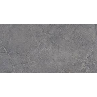 Picture of Tesoro - Evolution 24 x 48 Titanium