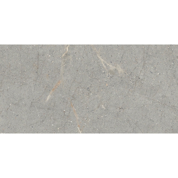 Picture of Emser Tile - Terramor 12 x 24 Grigio