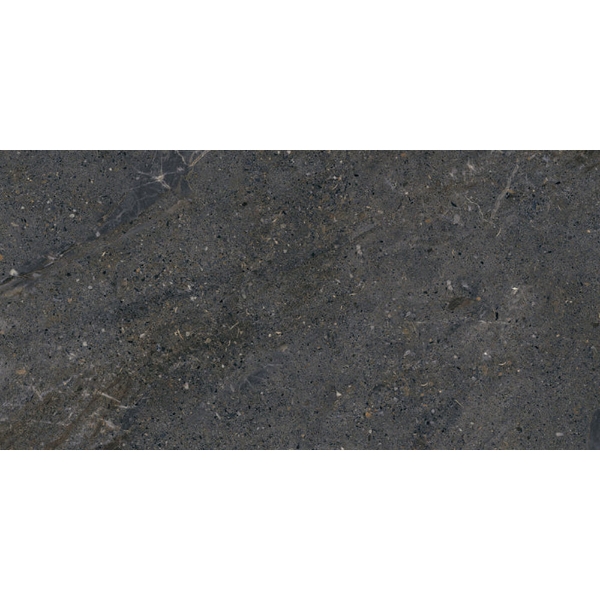 Picture of Emser Tile - Terramor 12 x 24 Nero