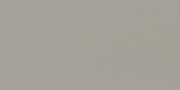 Picture of Daltile - Flat Concrete