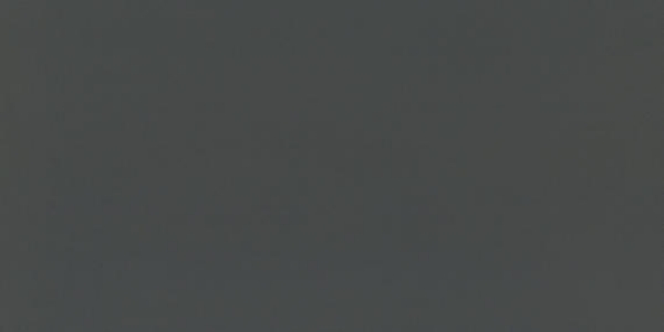 Picture of Daltile - Flat Slate