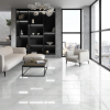 Picture of Emser Tile - Nobleza 24 x 24 Lugo Polished