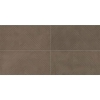 Picture of Daltile - Chord 12 x 24 Textured Baritone Brown discod