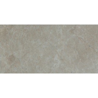 Picture of Tesoro - Hydra Isles 12 x 24 Silver