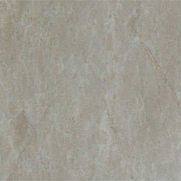 Picture of Tesoro - Hydra Isles 20 x 20 Silver