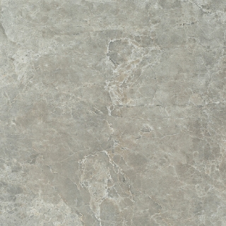 Picture of Tesoro - Hydra Isles 20 x 20 Grey