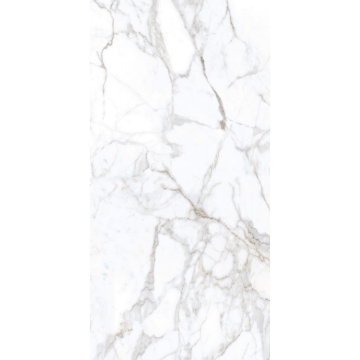 Picture of Tesoro - Lucca 24 x 48 Calacatta Polished