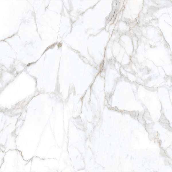 Picture of Tesoro - Lucca 24 x 24 Calacatta Matte