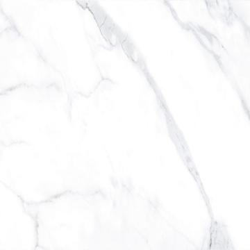 Picture of Tesoro - Lucca 24 x 24 Statuario Matte