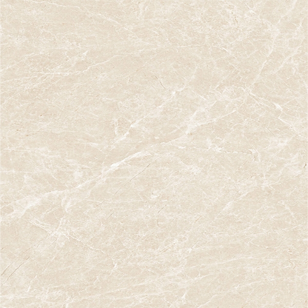 Picture of Tesoro - Lucca 24 x 24 Crema Marfil Matte