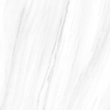 Picture of Tesoro - Lucca 24 x 24 Dolomite Polished