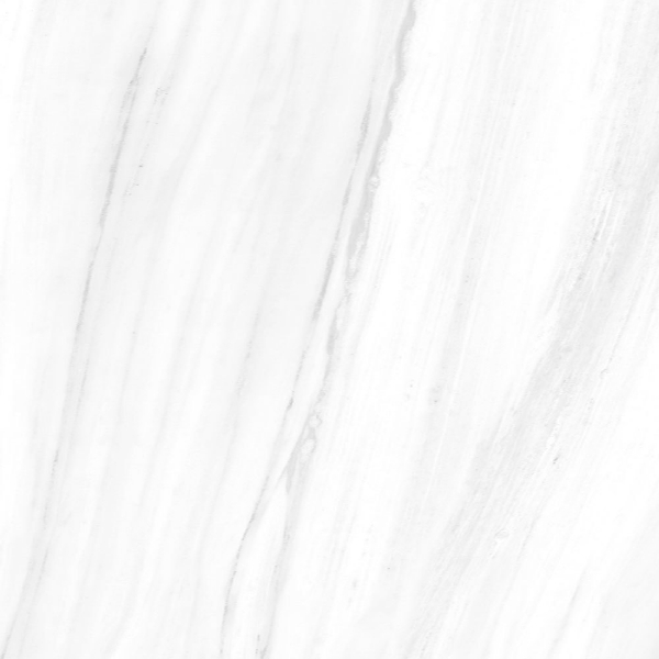 Picture of Tesoro - Lucca 24 x 24 Dolomite Polished